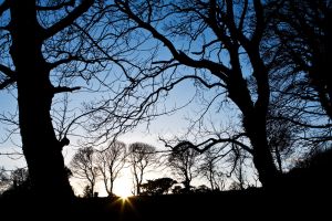 Ards Friary, Co. Donegal